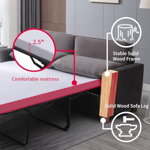 Queen Size Velvet Pull Out Sofa Bed with Foam Mattress P5381