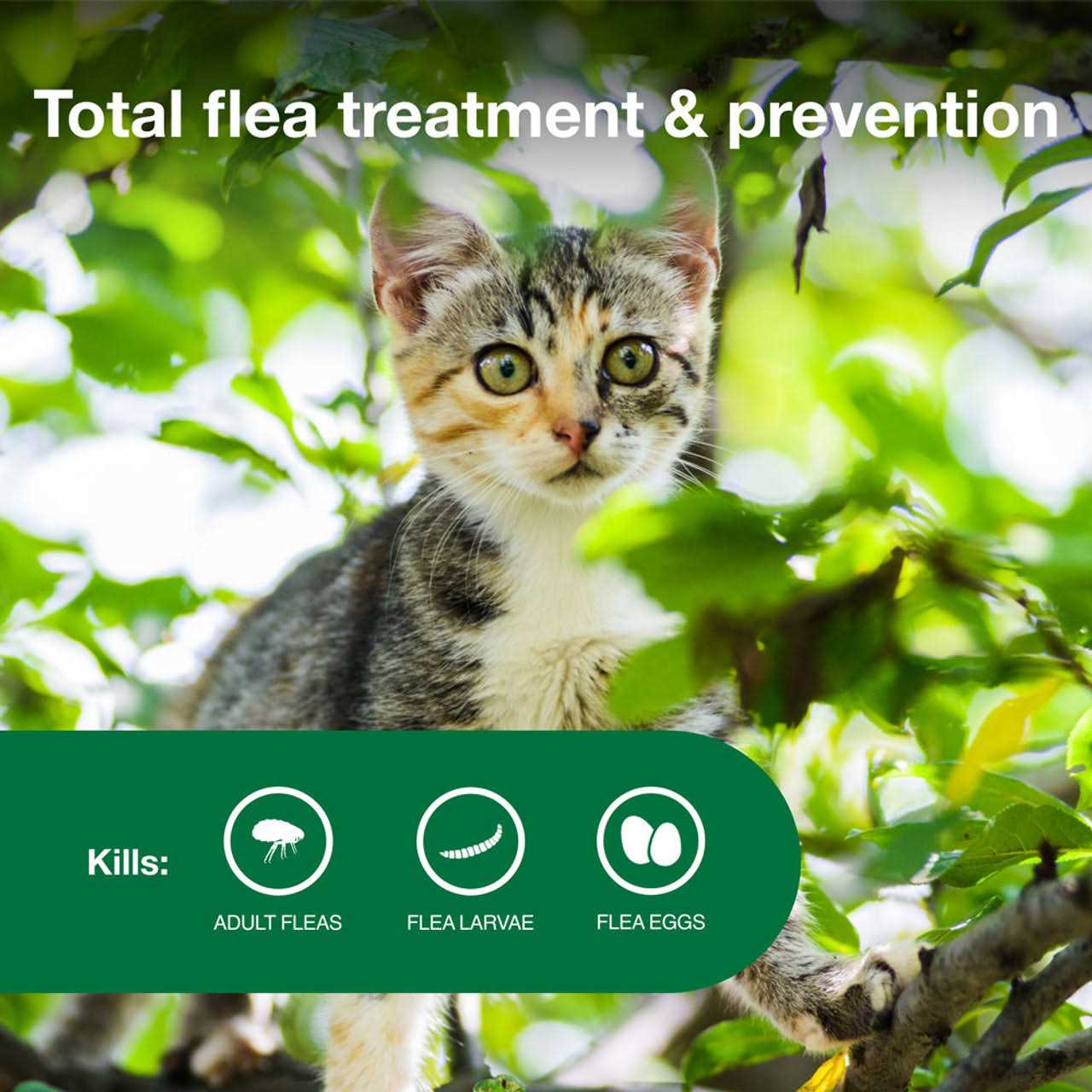 Advantage II Flea Treatment Cats G505