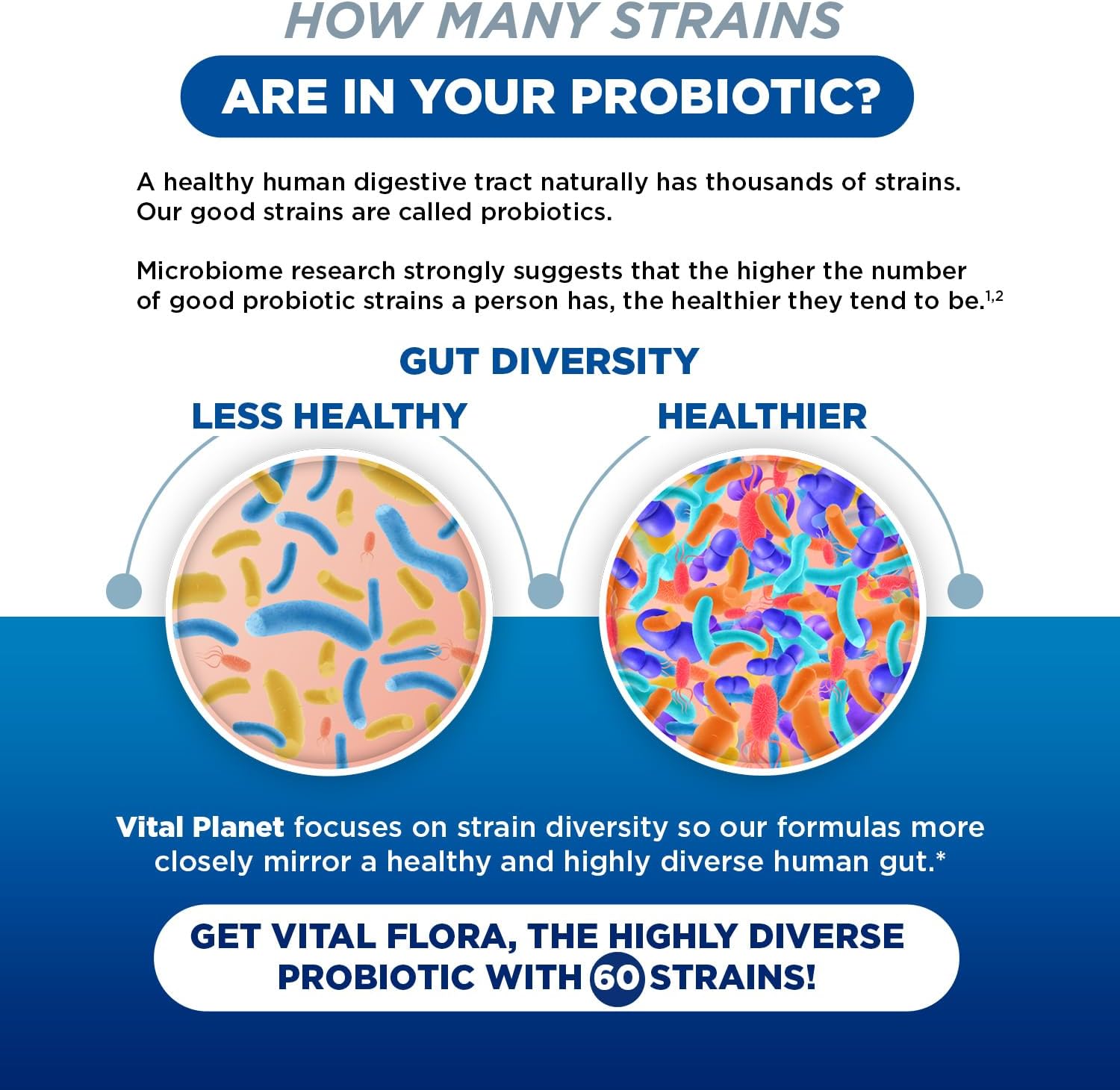Women’s Daily Probiotic 60 Billion CFU, 60 Strains, 30 Capsules A47810