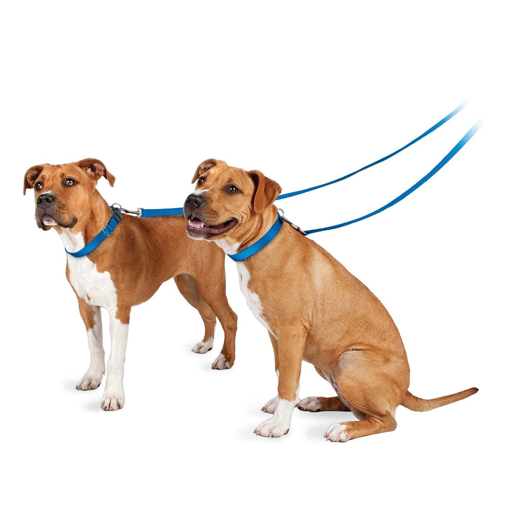 Nylon Dog Leash I368267