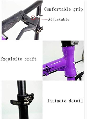 16 inch Portable Lightweight Folding Bicycle G6045