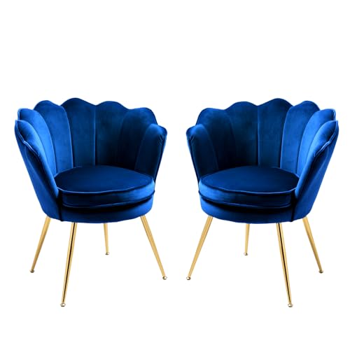Grey Velvet Set of 2 Armchair P6216