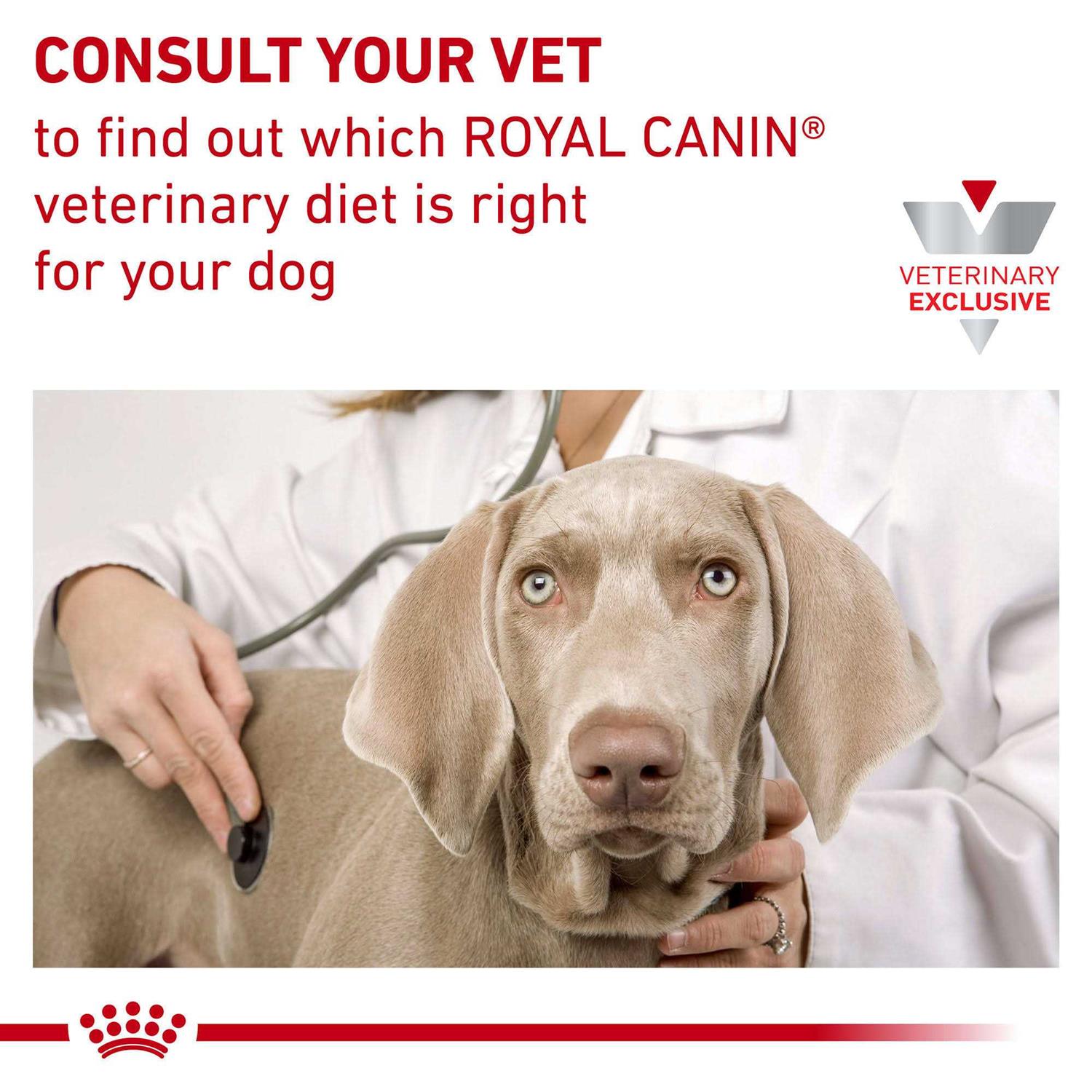 Veterinary Diet Canine Vegetarian Dry Dog Food K460467
