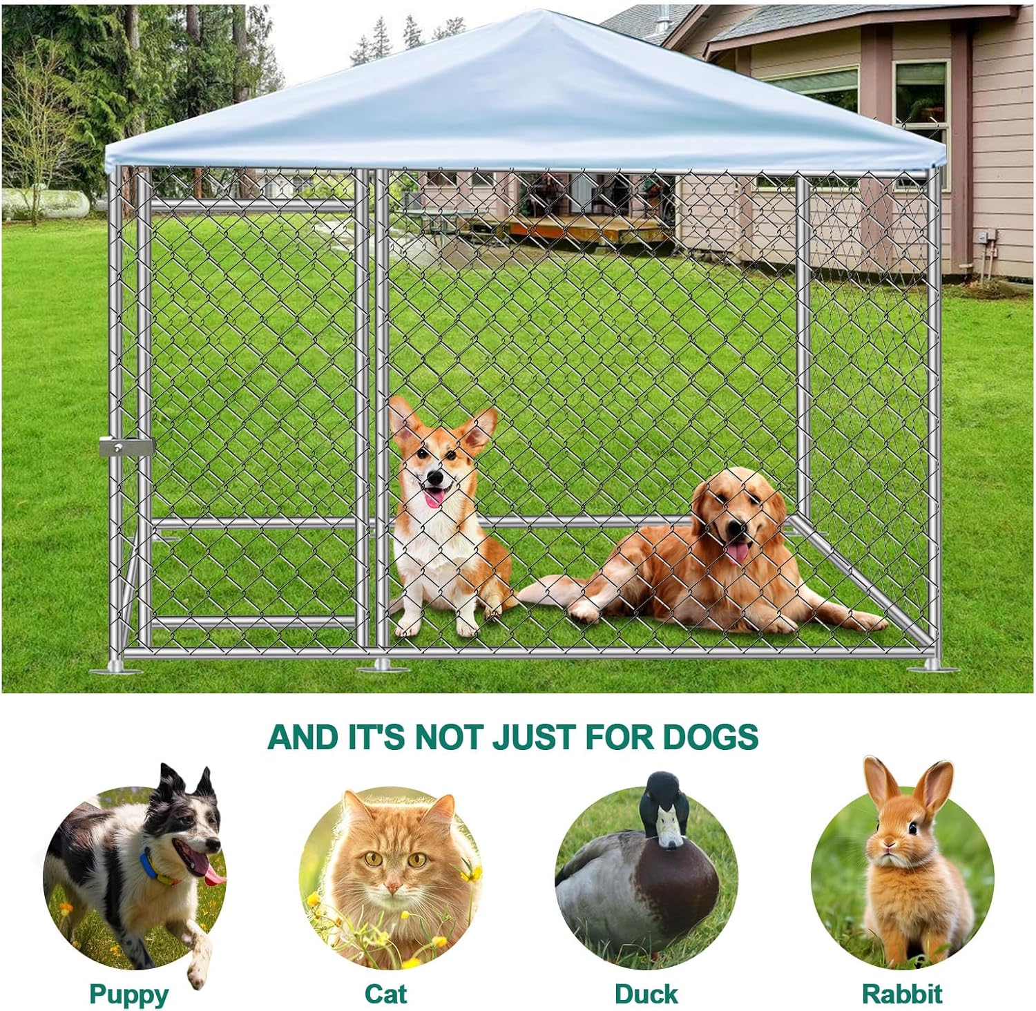 Heavy Duty Outdoor Dog Kennel with Waterproof Roof S6157