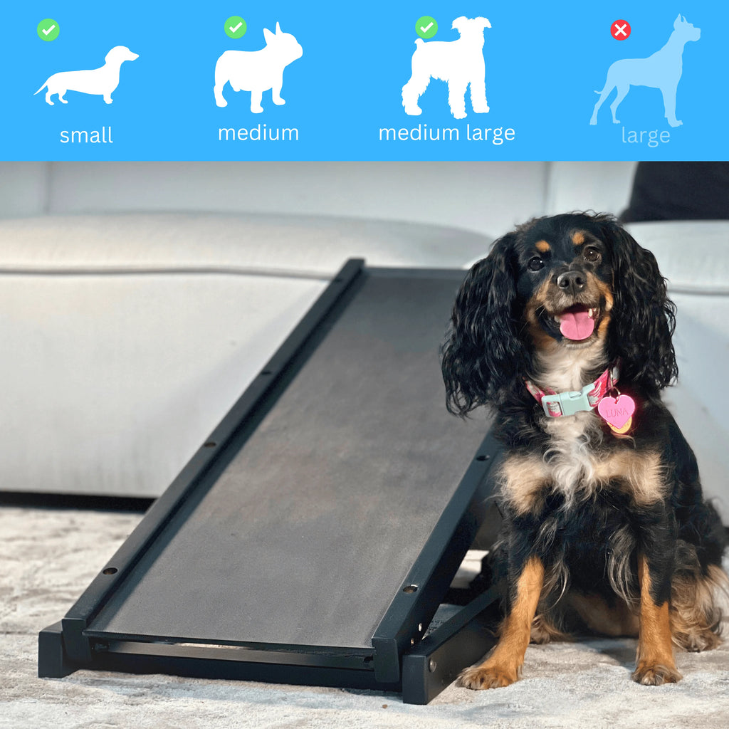 Adjustable 10" to 20" Anti Slip Pet Ramp for Couch S3970
