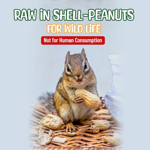 25 Pound Raw Peanuts in Shell B703