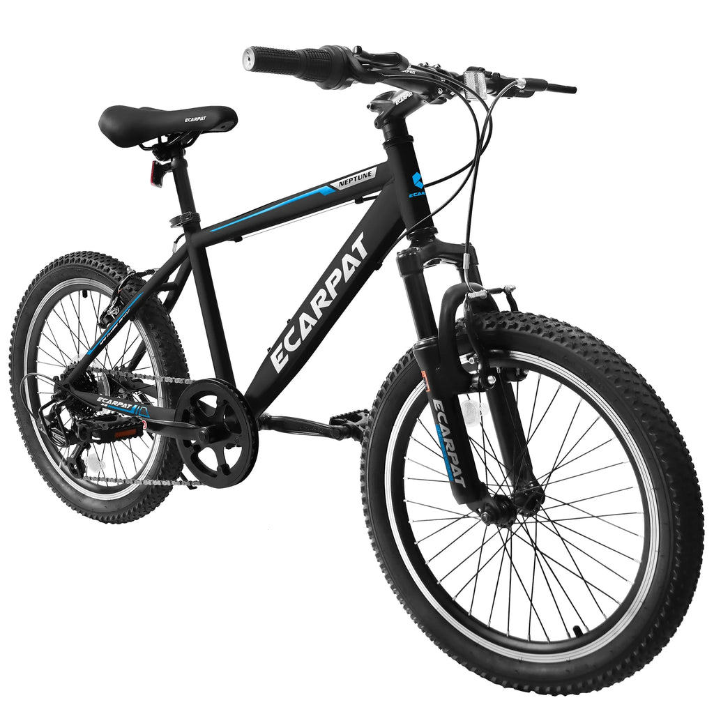 20 Inch Kids Mountain Bike, 7 Speed, Disc Brakes, Fat Tire, Black U84810