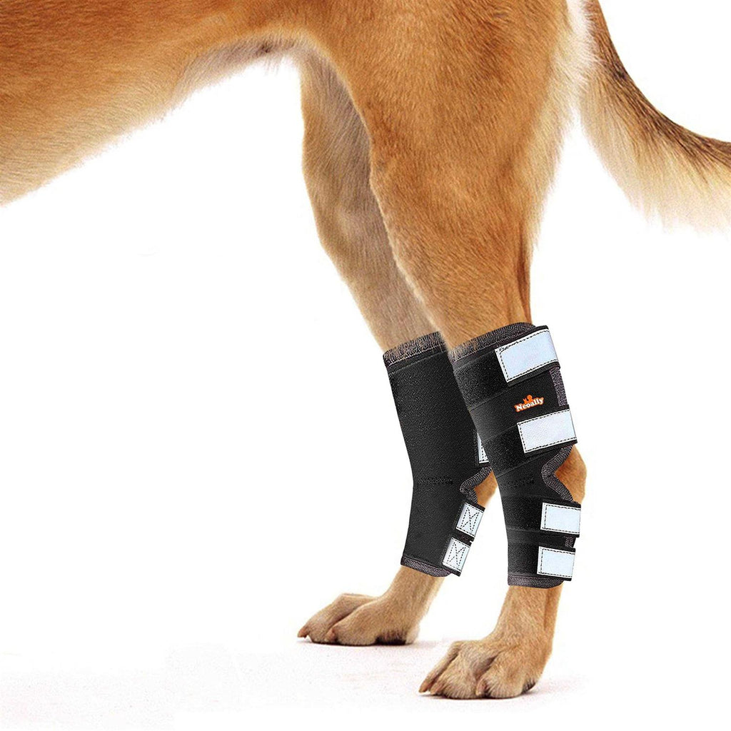 Dog Hind Leg Brace with Safety Reflective Straps F7835