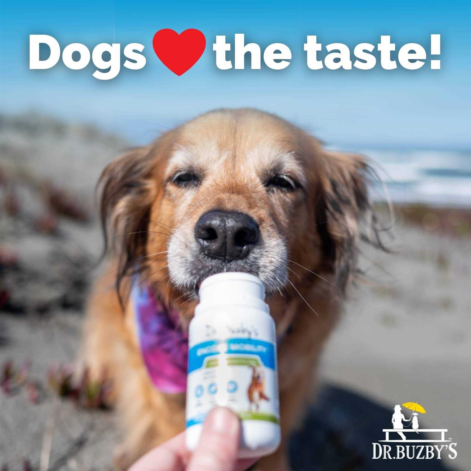 90 Chewable Tablets Hip & Joint Supplement for Senior Dogs S99026