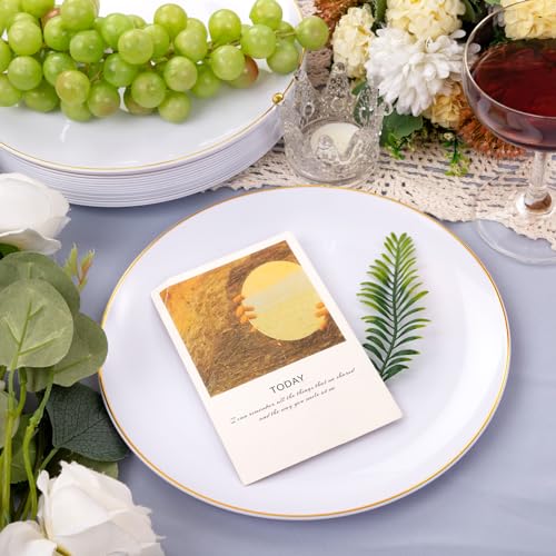 50 Pcs Gold Rim White Plastic Dinner Plates I977