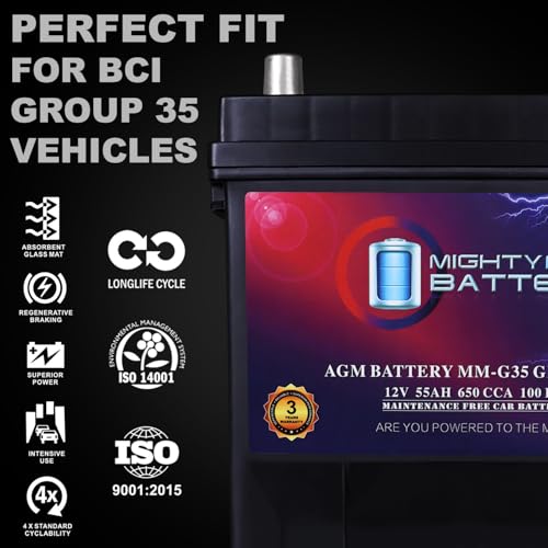 Group Size 35 12V 55Ah 100RC AGM 650 CCA Replacement Battery P294
