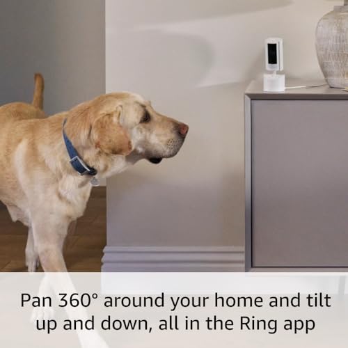 White 360° Pan-Tilt Indoor Cam with Two-Way Talk G327418