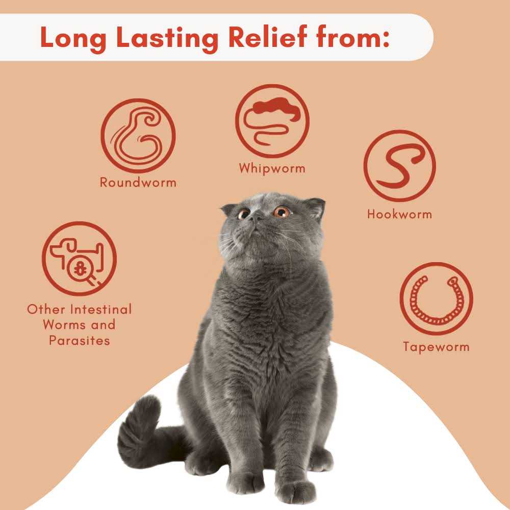Broad Spectrum Dewormer for Cats and Kittens B89257