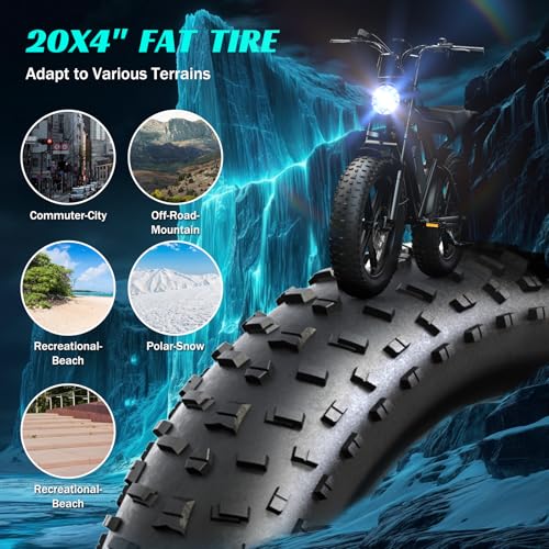 20" Fat Tire All-Terrain Electric Bike 1500W Peak 48V 15/25AH S282600