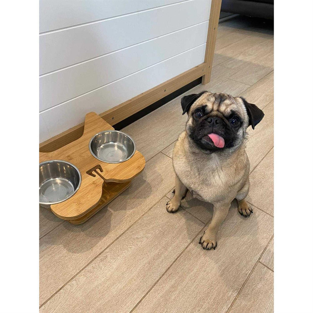 Elevated Dog Bowl Stand with Stainless-Steel Food and Water Bowls X7929