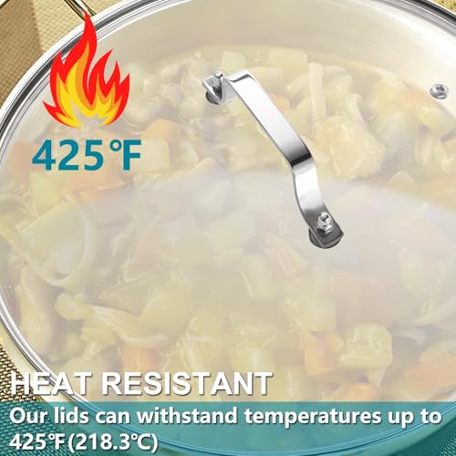 10 Inch Tempered Glass Lid with Stainless Steel Handle M6717