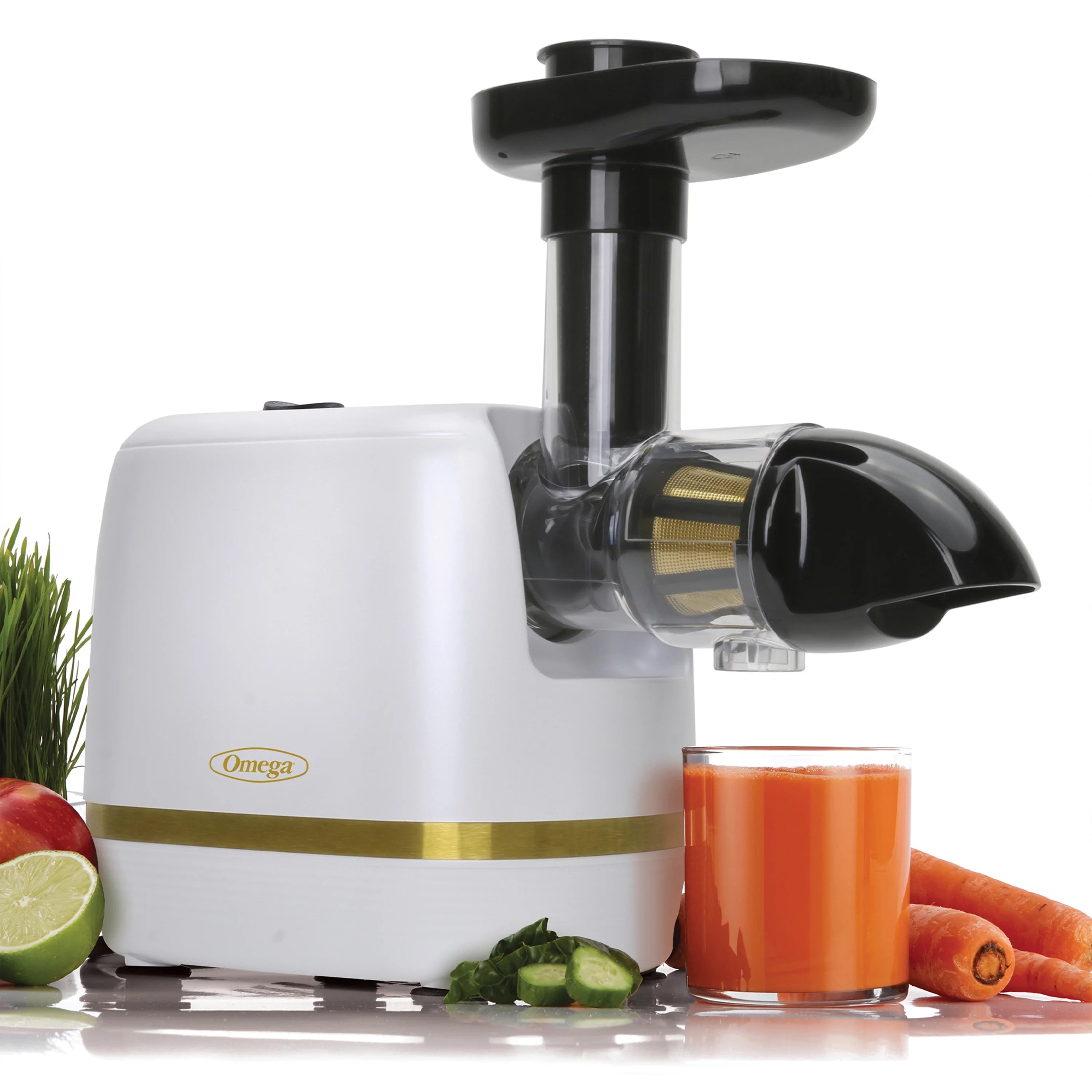 White Compact Masticating Juicer B876868