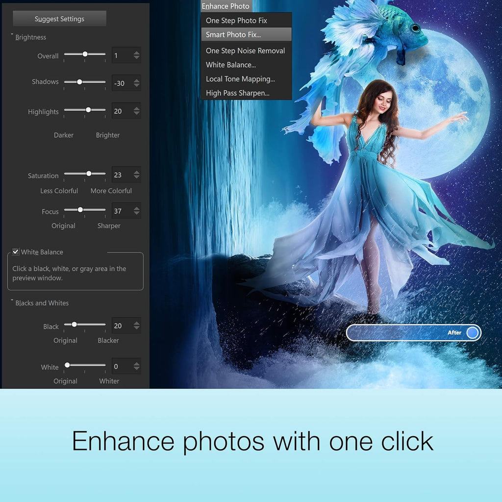 Photo and Video Editing Software S119