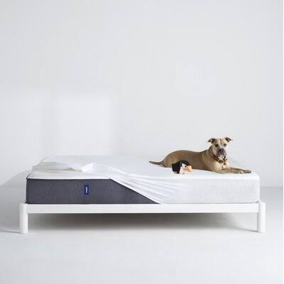 Queen Size Mattress Protector V629