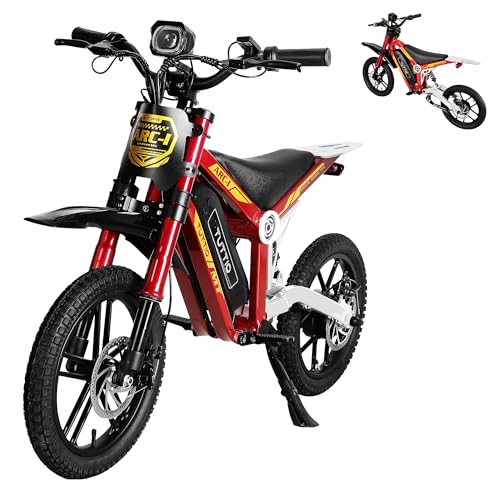 36V 750W Electric Dirt Bike with 16" Pneumatic Tires E69981