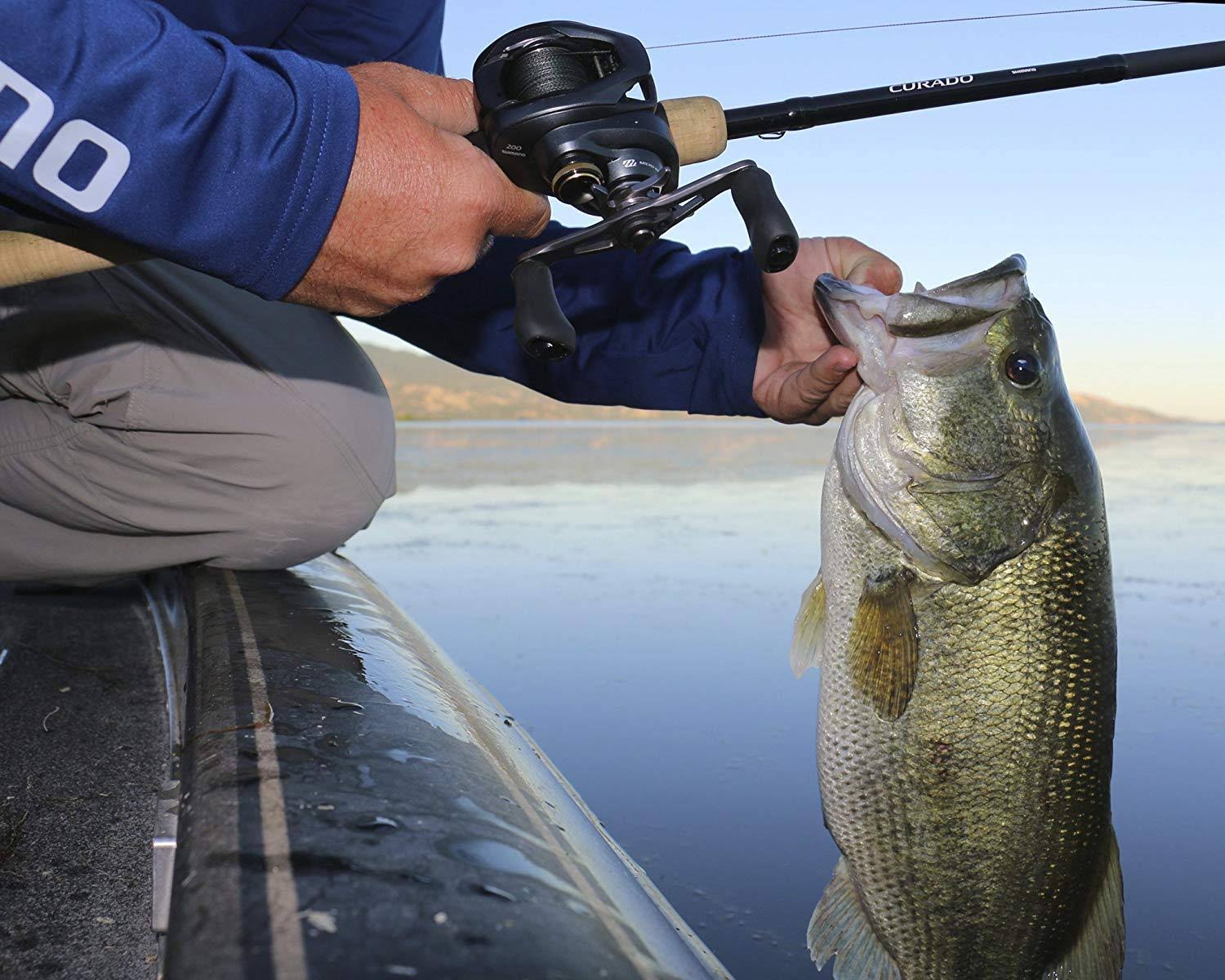 Baitcasting Reel F458883