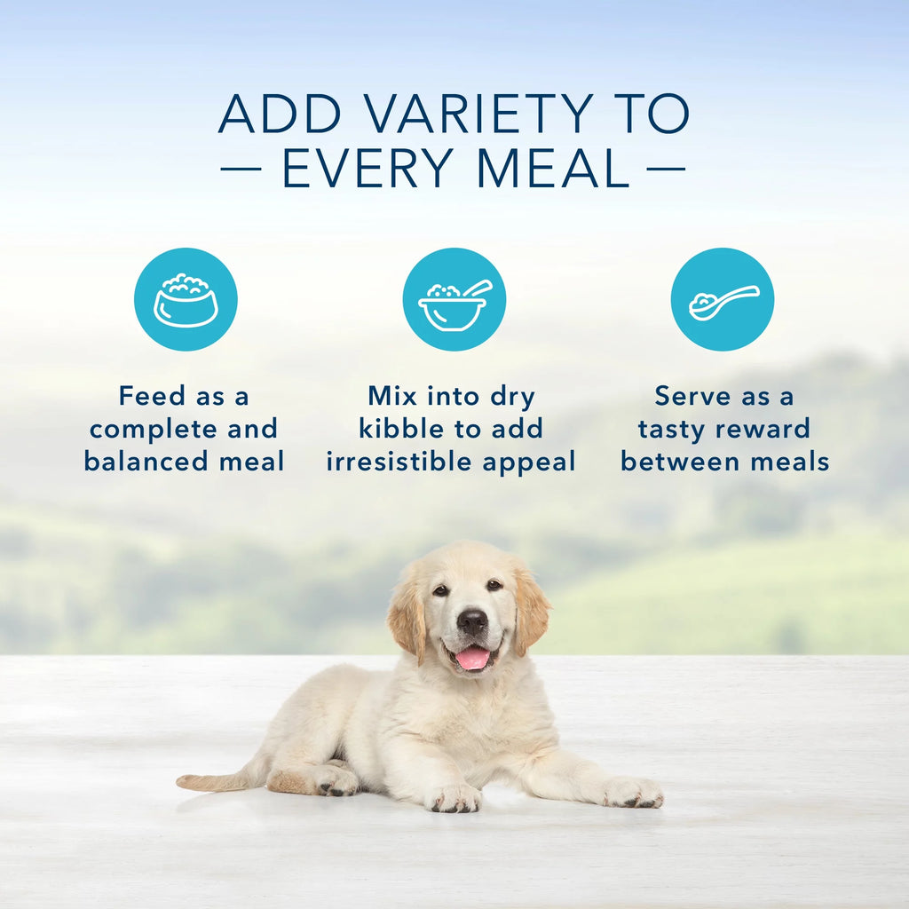 Chicken 12.5-oz can Wet Dog Food (Pack of 12) Z907114