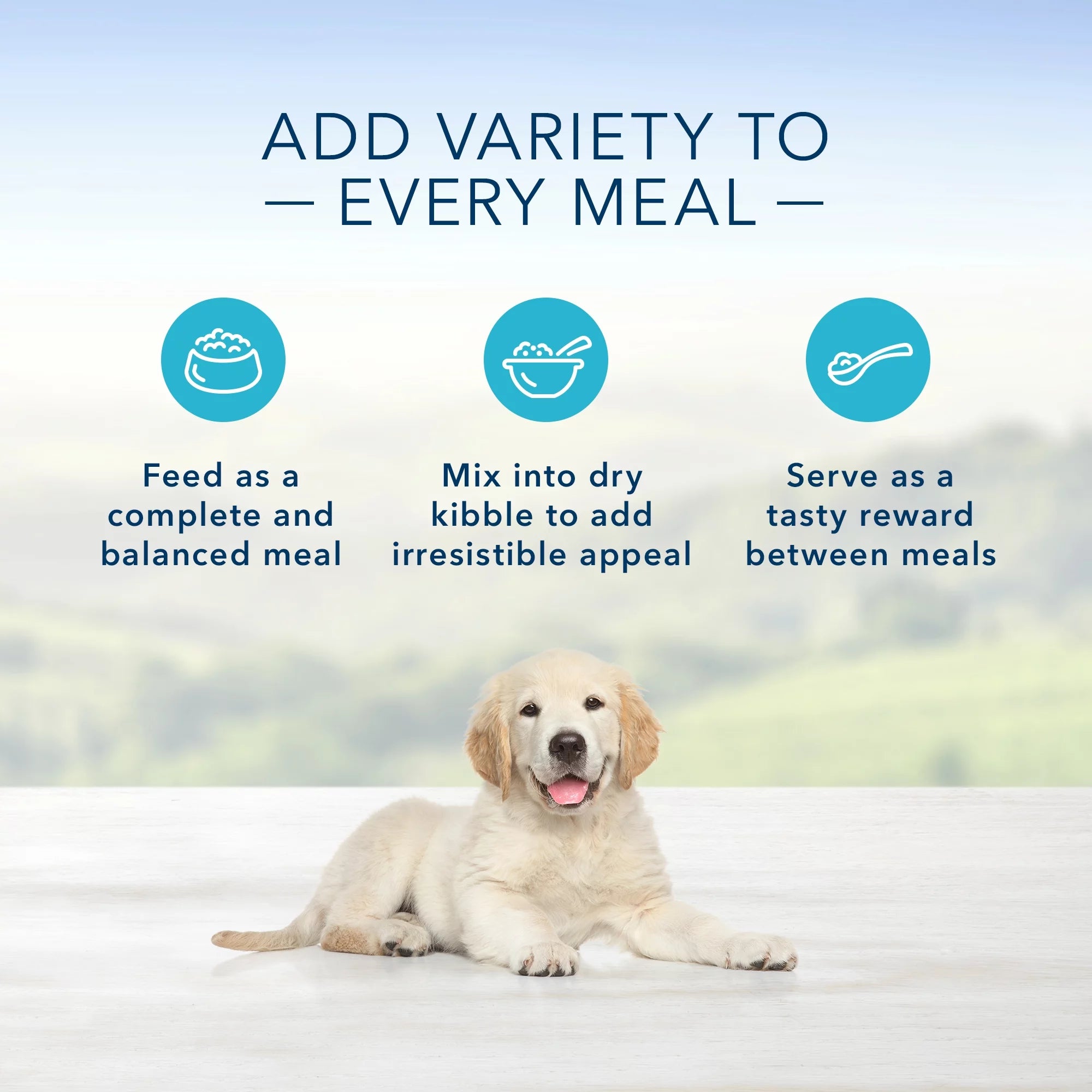Chicken 12.5-oz can Wet Dog Food (Pack of 12) Z907114