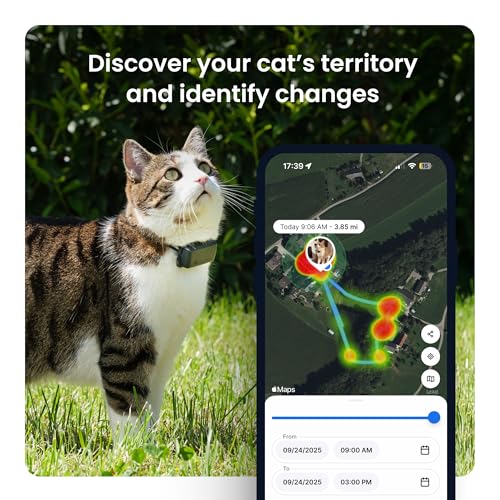 Brown GPS Cat Tracker with Breakaway Collar A4256