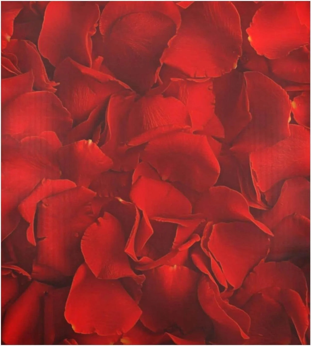 Red Rose Dishwasher Magnet Cover, 23 x 26 Inch S323