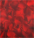 Red Rose Dishwasher Magnet Cover, 23 x 26 Inch S323