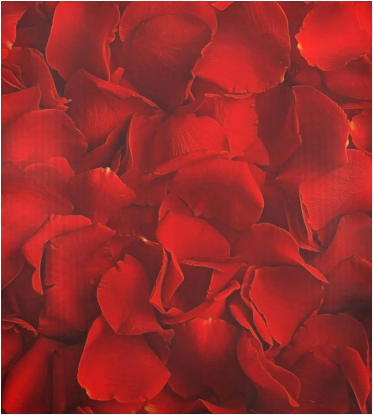 Red Rose Dishwasher Magnet Cover, 23 x 26 Inch S323