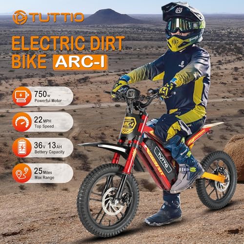 36V 750W Electric Dirt Bike with 16" Pneumatic Tires E69981