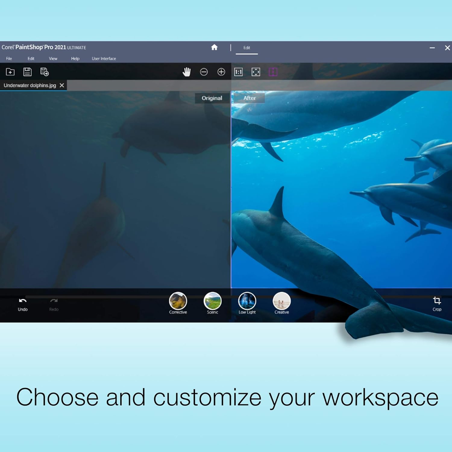 Photo and Video Editing Software S119