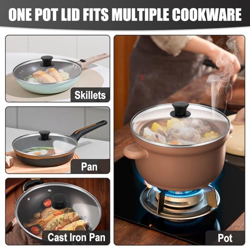 10 Inch Tempered Glass Pot Lid with Heat Resistant Handle T531179