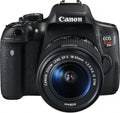 Digital SLR with EF-S 18-55mm Lens T239