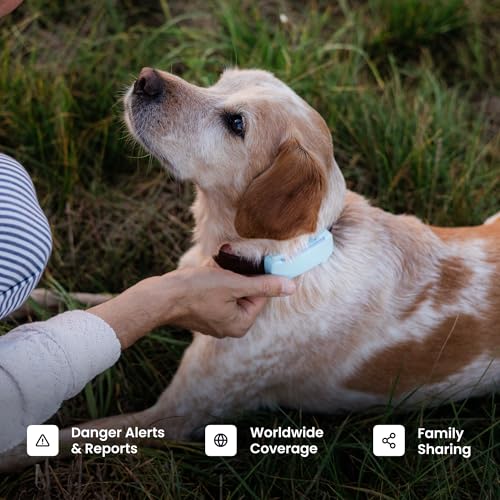 Black Dog GPS Tracker with Virtual Fence Z3886