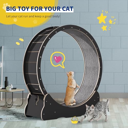 Solid Wood Cat Exercise Wheel with 2 Anti-Scratch Pads V2752