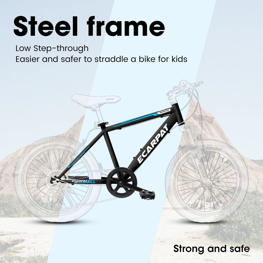 20 Inch Kids Mountain Bike, 7 Speed, Disc Brakes, Fat Tire, Black U84810