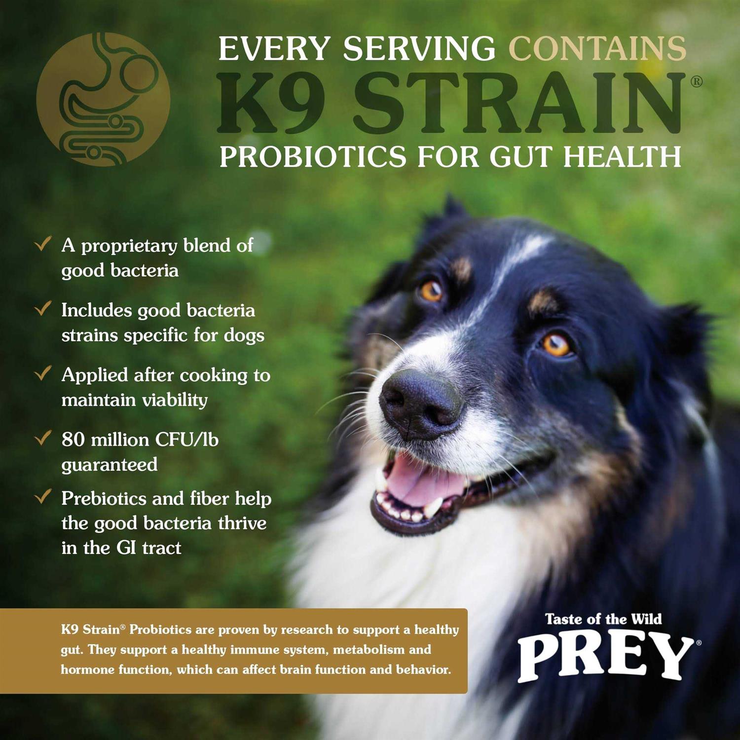 Prey Trout Dog Food Y28718