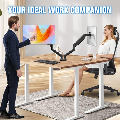 Dual Monitor Stand for 13 to 32 Inch Screen, Dual Monitor Arm Desk Mount Max 22 lbs Each Arm, VESA 75x75 100x100 W137234
