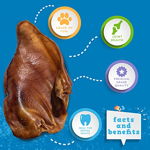 30 Pack Extra Thick Pig Ears Dog Treats G205031