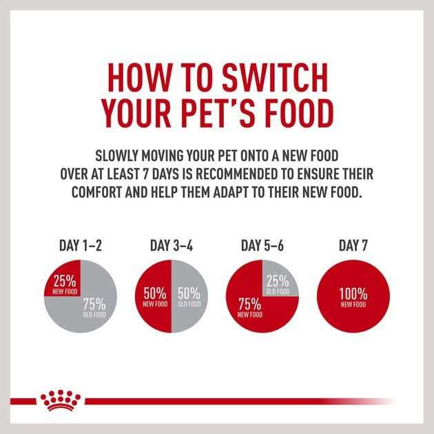 Small Adult Wet Dog Food L98132