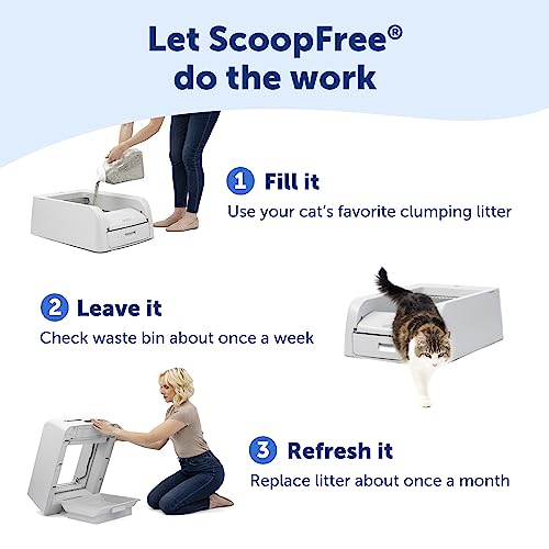 Self-Cleaning Litter Box for Clumping Litter C456596