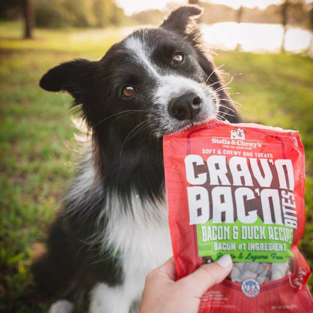 Bacon Dog Treats E3951