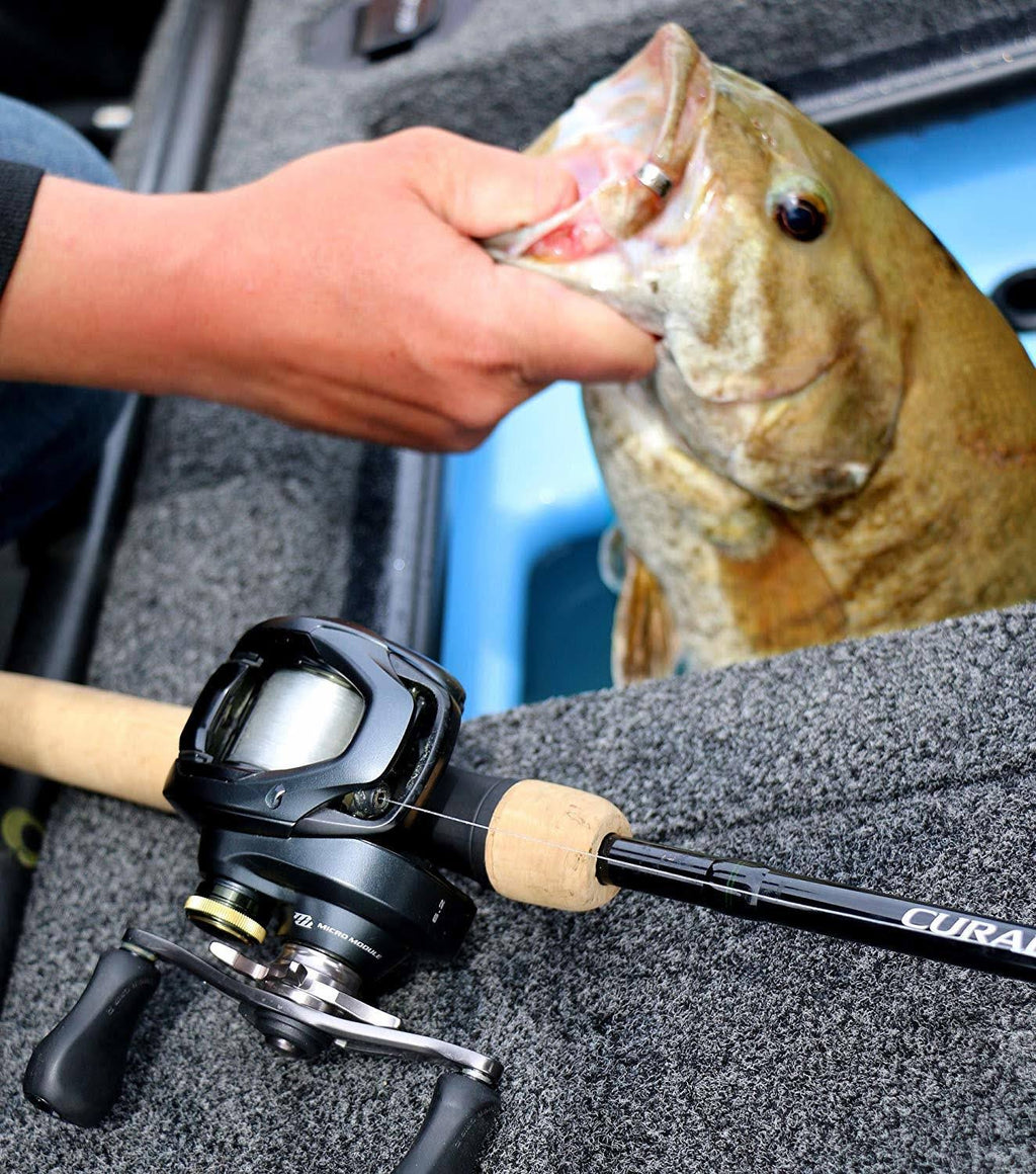 Baitcasting Reel F458883