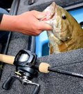 Baitcasting Reel F458883