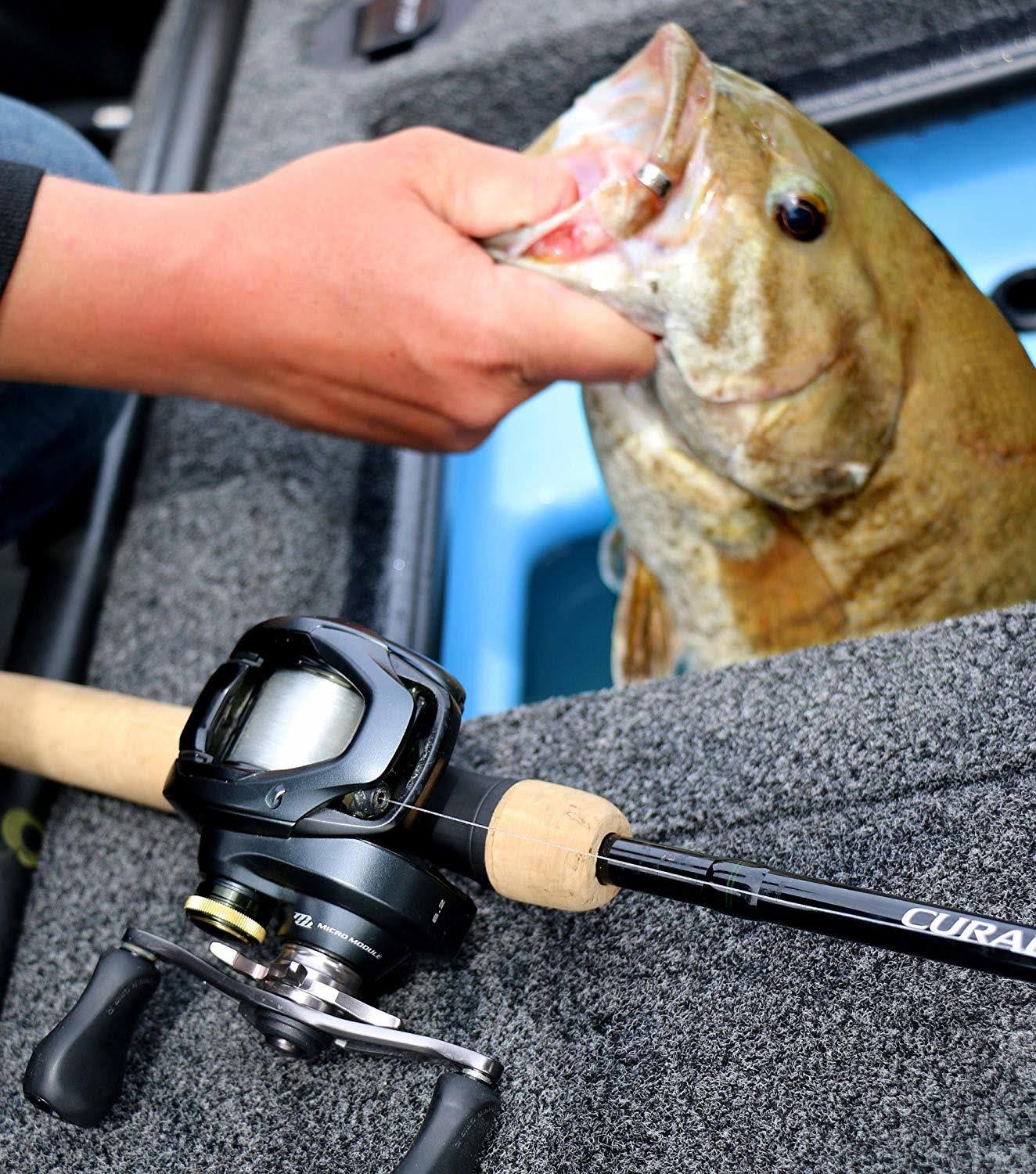 Baitcasting Reel F458883