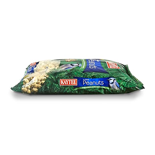 Two 5 Pound Bags Peanuts in Shell for Wild Birds B758923