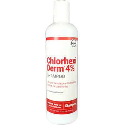 4% Chlorhexiderm Shampoo 12 Oz Q463005