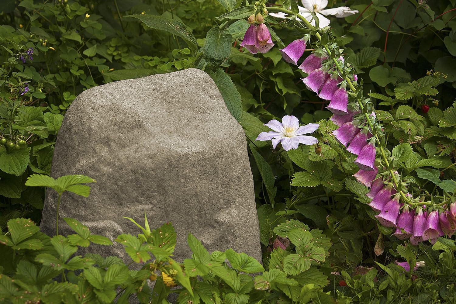 Small Lightweight Landscape Rock R179015